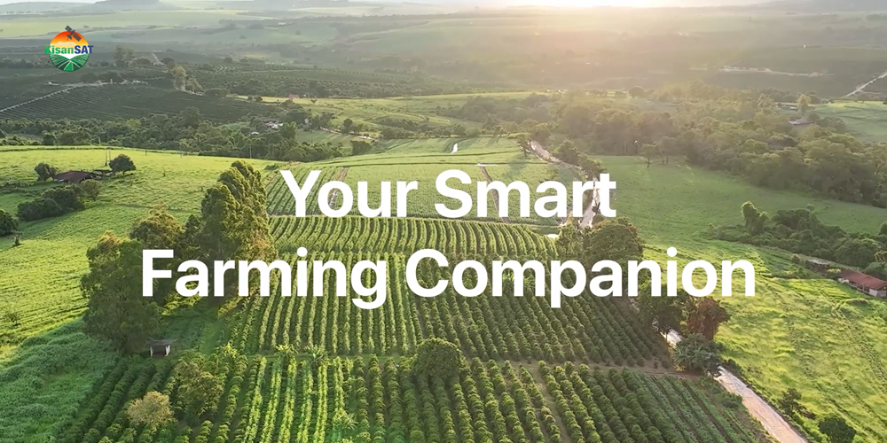 Farm Video 1