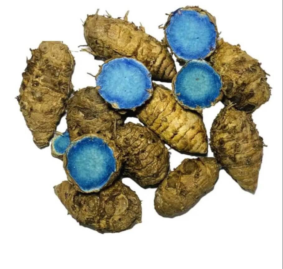 Black Turmeric