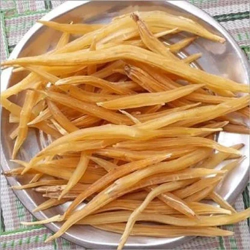 Yellow Shatavari