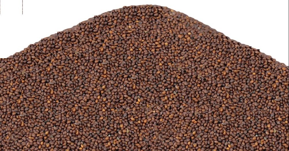 Tulsi