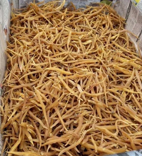 Yellow Shatavari