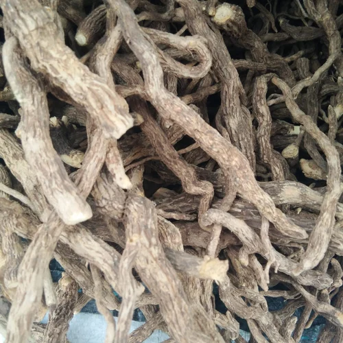 Sarpagandha
