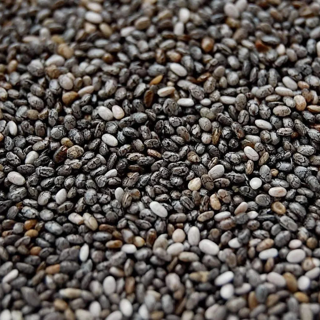 Chia Seeds